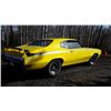 Image 4 : 1970 BUICK SKYLARK GSX TRIBUTE