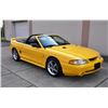 Image 2 : 1998 FORD MUSTANG COBRA CONV