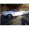Image 1 : 1964 FORD THUNDERBIRD