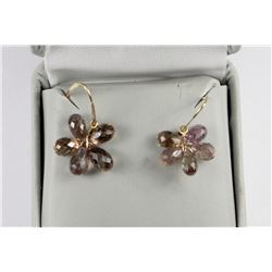 #34-14K YELLOW GOLD GARNET EARRINGS W/ COA