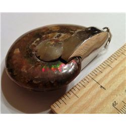 NATURAL AMMOLITE PENDANT