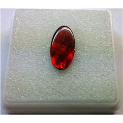 RED TRIPLATE  OVAL AMMOLITE GEM STONE