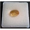 Image 1 : 9.5CT BRIOLETTE OVAL CITRINE