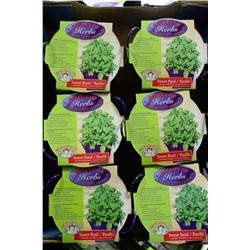 6-BASKETS OF SWEET BASIL HERBS