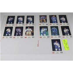 COLLECTION OF FREDERICTON EXPRESS CARDS