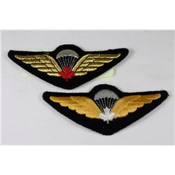 PAIR OF 2 CANADIAN PARATROOPERS BADGES