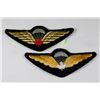 Image 1 : PAIR OF 2 CANADIAN PARATROOPERS BADGES
