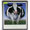 Image 1 : STEIN HOUSER ROUND COW PICTURE