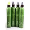 Image 1 : LOT OF 4 ALTERNA VOLUMIZING FLEX-HOLD HAIR SPRAY