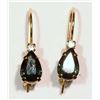 Image 1 : #21-10KT GOLD SAPPHIRE EARRINGS