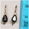 Image 3 : #21-10KT GOLD SAPPHIRE EARRINGS