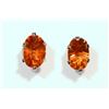 Image 1 : #31-10KT GOLD TOPAZ (0.96CT) EARRINGS
