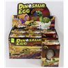 Image 1 : CASE OF 6 NEW DINOSAUR EGG GROWING PETS