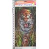 Image 1 : 3-D TIGER TROUBLE POSTER