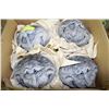 Image 1 : SET OF 4 GRINNING GRANITE COLOR  ROCKS-7"WX4"T