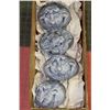 Image 1 : SET OF 4 GRINNING GRANITESTYLE  ROCKS-7" W X 4" T