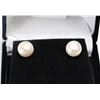 Image 1 : CREAMY MILK TONE FRESHWATER PEARL .925 SILVER EARRINGS, GRADE AA