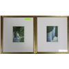 Image 1 : PAIR OF FRAMED PRINTS ENTITLED "COURT" BY TZANNES