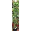 Image 1 : ARTIFICIAL BAMBOO TREE APPROX 6' TALL