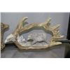 Image 1 : BEAR ANTLER DISPLAY ORNAMENT