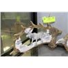 Image 1 : MOOSE ANTLER DISPLAY ORNAMENT