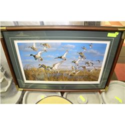 "VIC'S POND - MALLARDS" FRAMED PRINT BY MICHAEL