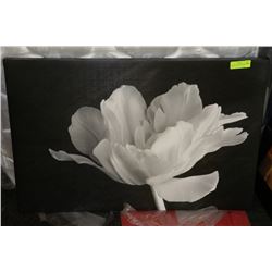 WHITE FLOWER CANVAS PICTURE 24"X36"