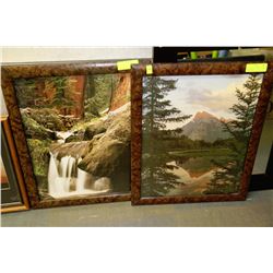 PAIR OF SCENIC FRAMED PICTURES INCL FOREST