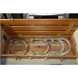 SPORTSCRAFT METAL HORSEHOES GAME IN CASE
