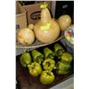 Image 1 : TRAY OF GREEN PEPPERS & 3 GOURDS WITH TRAY