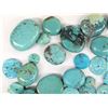 Image 2 : Large Collection of Polished Turquoise Cabochons