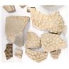 Image 2 : Prehistoric Native American Mimbres Pottery Sherds