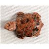 Image 3 : 4 Carved Stone Turtle Fetishes