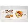 Image 2 : 2 Books on Bev Doolittle, One is Signed