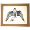 Image 1 : Peregrine Falcon Signed & Numbered Print by Katona