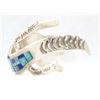 Image 2 : Navajo Sterling Turquoise Inlay Lizard Bracelet