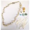 Image 1 : Collection of Dentalium Shells and Loose Beads