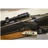 Image 2 : Tikka by Sako Model T3 .243 Win cal Mag Fed Bolt Action Rifle w/ 22 1/2" bbl [ appears v-good, in no