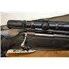 Image 3 : Tikka by Sako Model T3 .243 Win cal Mag Fed Bolt Action Rifle w/ 22 1/2" bbl [ appears v-good, in no