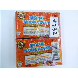 Two (2) Packs of Ground Bloom Flowers, 6 pcs per Pack, Total of 12 pcs, All One Money, Cannon Brand