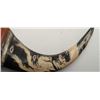 Image 3 : Finely carved buffalo horns from South East Asia  brought home by a G.I. in Vietnam era. Est.:  $100