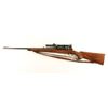 Image 2 : Winchester Model 70 .30Gov't06 S/N 41249 Customized high quality sporting rifle chambered  in .30-06