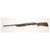 Image 2 : Remington Model 31 pump action shotgun, 12 gauge,  serial #55382.  The shotgun is in overall very  g