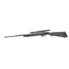 Image 2 : Winchester Model 77 Semi-Auto Rifle, .22 L.R., 22”  barrel, blue finish, Walnut pistol grip stock,  