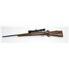 Image 2 : Winchester Model 70 bolt action rifle, .264 Win.  Mag. caliber, 23” round barrel, S/N 704387, blued 