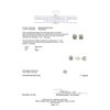 Image 3 : 1.42ctw Diamond Stud Earrings - 14KT White Gold
