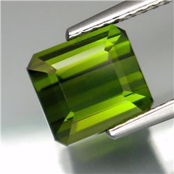Natural Green Tourmaline 2.34 Carats