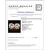 Image 3 : 14K Yellow Gold 3.36ct Fancy Color Diamond Earring