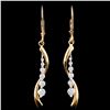 Image 1 : 14K Gold 0.50ctw Diamond Earrings