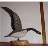 Image 1 : Duck